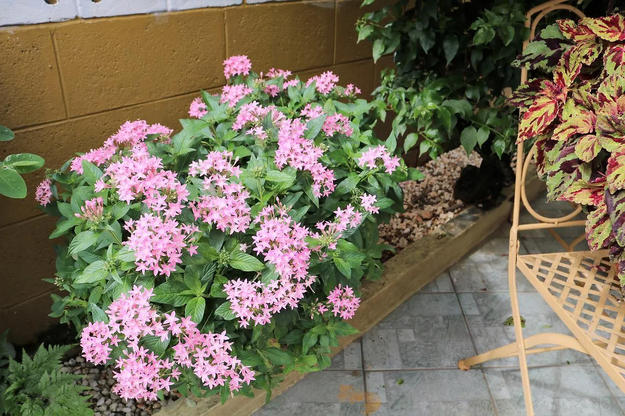 ***  Westmoorings The Illiers Bed & Breakfast トリニダードトバゴ