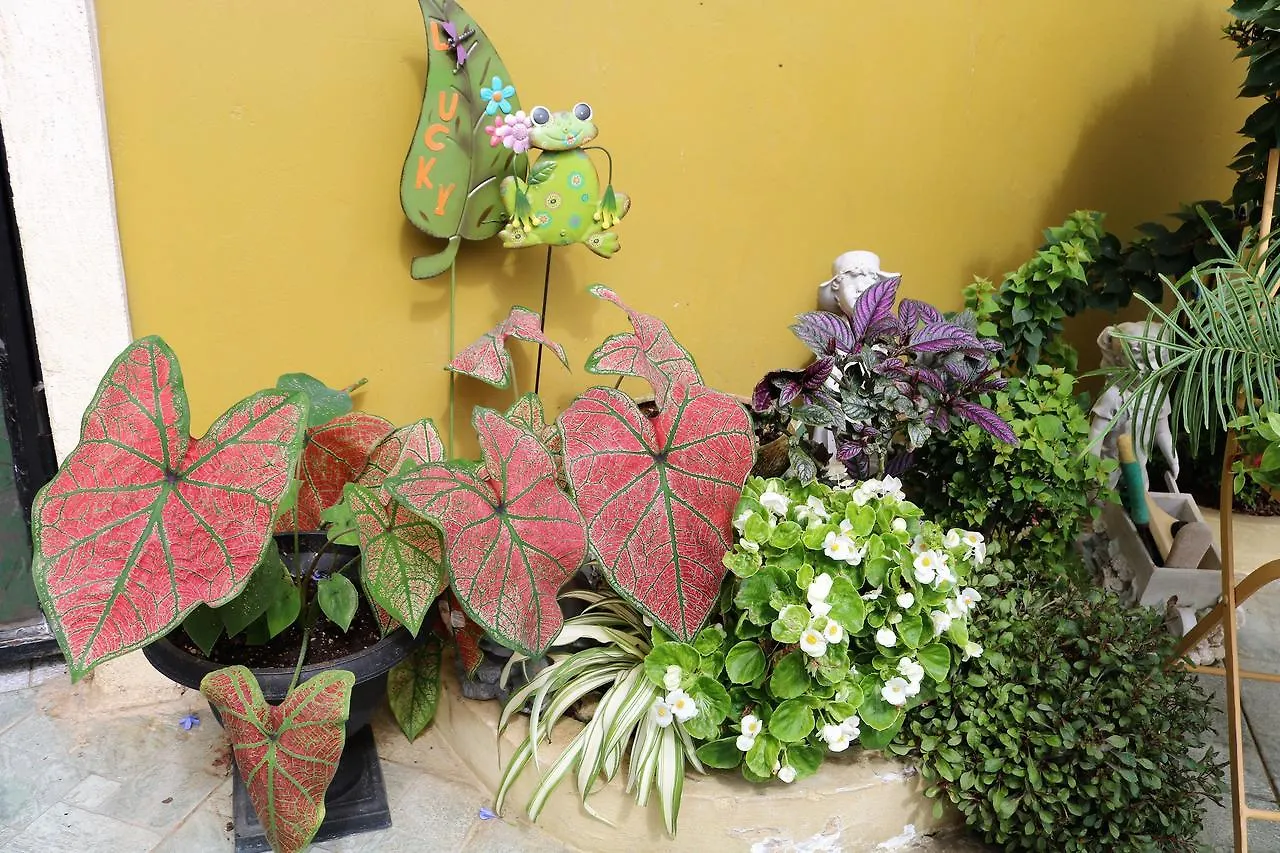 The Illiers Bed & Breakfast Westmoorings 3*,  Trinidad And Tobago