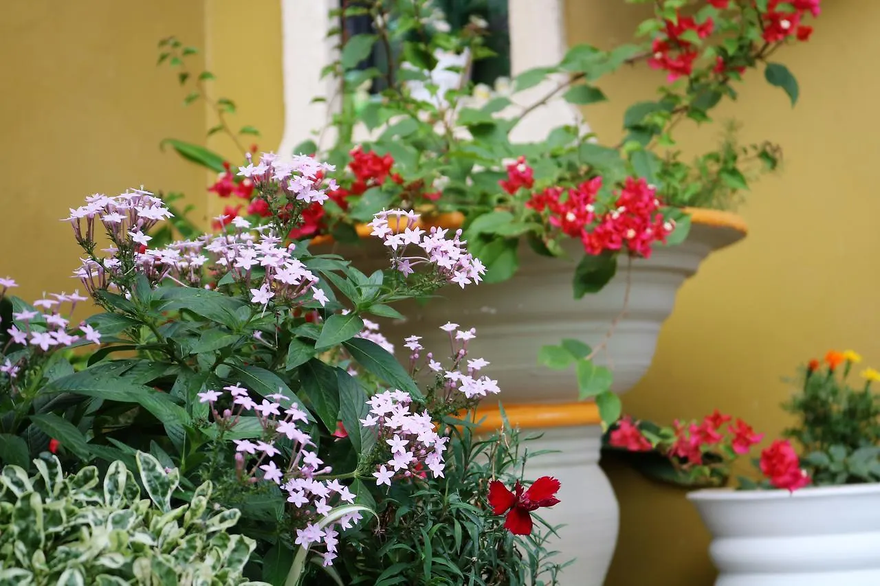 The Illiers Bed & Breakfast Westmoorings